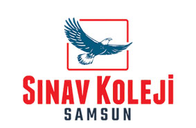 Samsun Snav Koleji